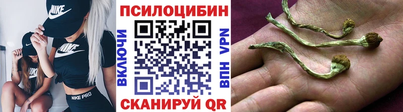 Псилоцибиновые грибы мухоморы  купить наркоту  МЕГА ссылка  Новая Ляля 